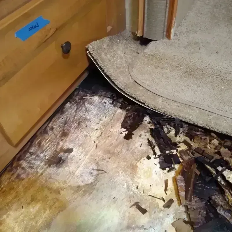 Wood Floor Water Damage in Ensley, FL